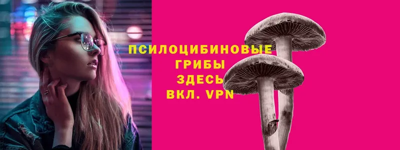 цены   Кизилюрт  Галлюциногенные грибы Magic Shrooms 