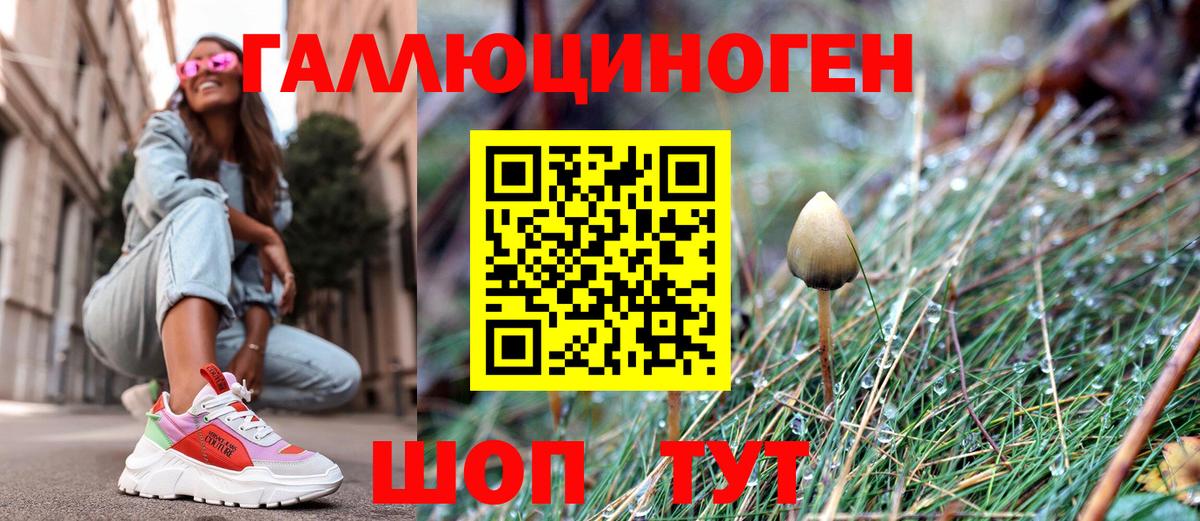 Кизилюрт  Галлюциногенные грибы мухоморы  Вход с VPN  Псилоцибиновые грибы MAGIC MUSHROOMS 